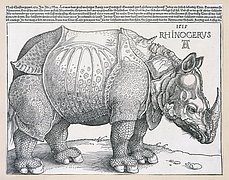 Dürer für Berlin. Eine Spurensuche im Kupferstichkabinett Dürer für Berlin. Eine Spurensuche im Kupferstichkabinett