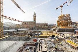 Herbstblick auf Platane und Matthäuskirche