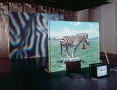Diana Thater: The Best Animals Are the Flat Animals, 1998 Diana Thater: The Best Animals Are the Flat Animals, 1998