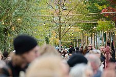 Lange Tafel unter Baumallee, darum mehrere Menschen