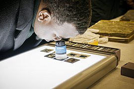 Betrachtung von Dias aus der Nuba-Fotosammlung Person betrachtet Dias aus der Nuba-Fotosammlung an einem Leuchttisch.