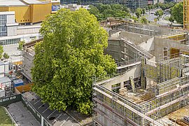 Das entstehende Museum berlin modern aus der Vogelperspektive mit dem Baumhof auf der Westseite