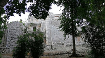 Steingebäude in einem Wald