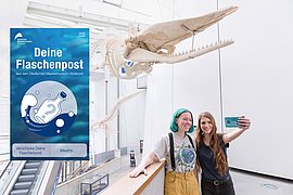 Deutsches Meeresmuseum adaptiert eine Web App des Projektpartners Badisches Landesmuseum