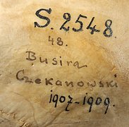 Projektstart zur Erforschung der Herkunft historischer anthropologischer Schädelsammlung bei der SPK