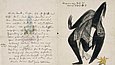 Brief von Franz Marc an Else Lasker-Schüler: „Tänzerin vom Hofe des Königs Jussuf“, Tusche, Wasserfarbe (o. J.). Die Absenderin nennt sich „Jussuf der Prinz von Thben“ r
