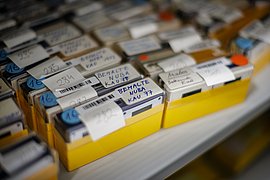 Archivboxen mit sortierten Materialien aus der Riefenstahl-Sammlung.