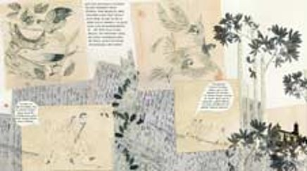 Cover der Graphic Novel „Die Abenteuer des Alexander von Humboldt“