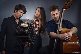 Drei Musiker des Colombo Kociołek Frontini Trios mit Violine, Bandoneon und Kontrabass.