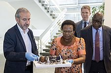 Vier Personen beim vorsichtigen Bewegen eines Ausstellungsobjekts in eine Kiste