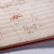 Beethoven: „Diesen Kuss…“