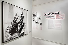Blick in die Ausstellung „Die Heinroths, ihre 1000 Vögel und die Anfänge der Verhaltensforschung“ im Stabi Kulturwerk