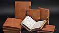 Alexander von Humboldt's American travel diaries