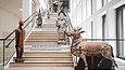 Treppe in modernem Ausstellungsgebäude mit Pappaufstellern von Objekten 