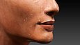 Bust of Queen Nefertiti