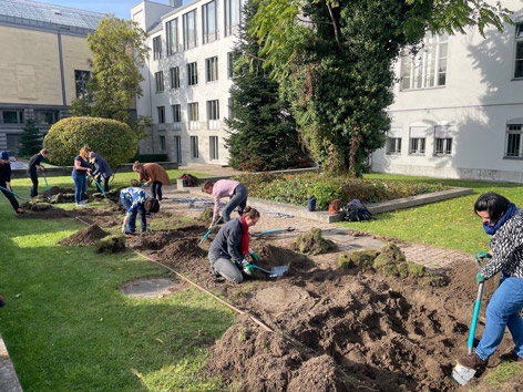 Mehrere Personen graben einen Rasen um