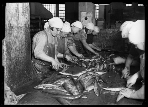 Schwarz-weiß Fotografie von Fide Struck, auf dem mehrere Frauen mit weißen Kopftüchern an einem langen Tisch zu sehen sind, wo sie Fische ausnehmen.