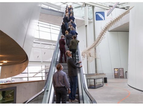Digitale Partizipation Mehrere Menschen stehen auf einer Rolltreppe. Neben ihnen hängt das Skelett eines Tieres von der Decke.