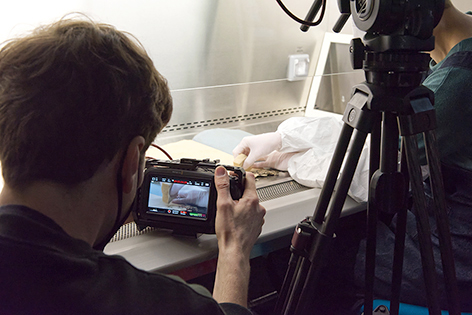 dry cleaning A person holds a camera very close to the work surface, where a hand can be seen doing dry cleaning