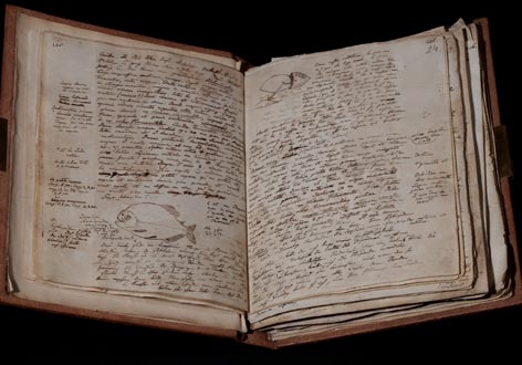 Alexander von Humboldt’s American travel diary; Diary IV, p. 23-24, with a drawing of a piranha Alexander von Humboldt’s American travel diary; Diary IV, p. 23-24, with a drawing of a piranha