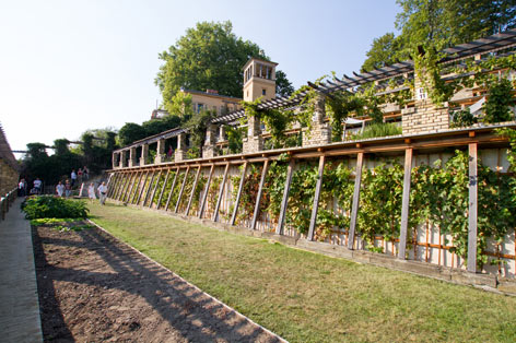 Das Projekt Winzerberg aus Potsdam ist einer der diesjährigen Preisträger des European Union Prize for Cultural Heritage © Roland Schulze