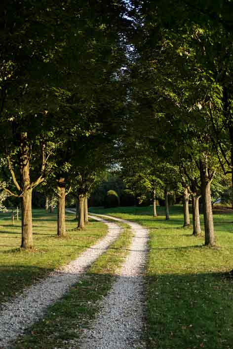 Erlenhof is still a treasure on the edge of Pfullingen