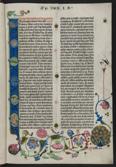Farbig illustrierte Seite (öffnet Vergrößerung des Bildes)