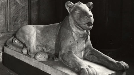 August Gaul, "Liegender Löwe“, 1903, Alte Nationalgalerie August Gaul, "Liegender Löwe“, 1903, sculpture, Alte Nationalgalerie