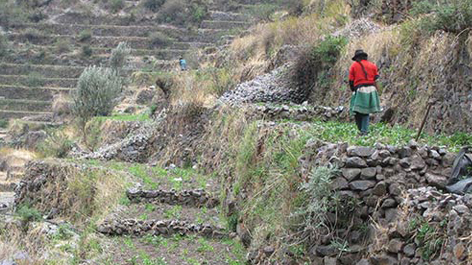 Terrassierte Felder in den peruanischen Anden © Heiko Diestel Terrassierte Felder in den peruanischen Anden