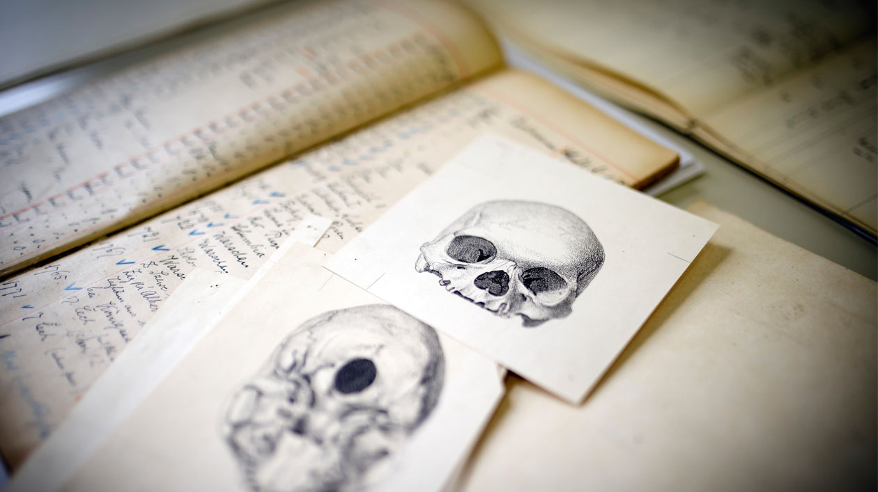 Historische Zeichnungen menschlicher Schädel und Akten