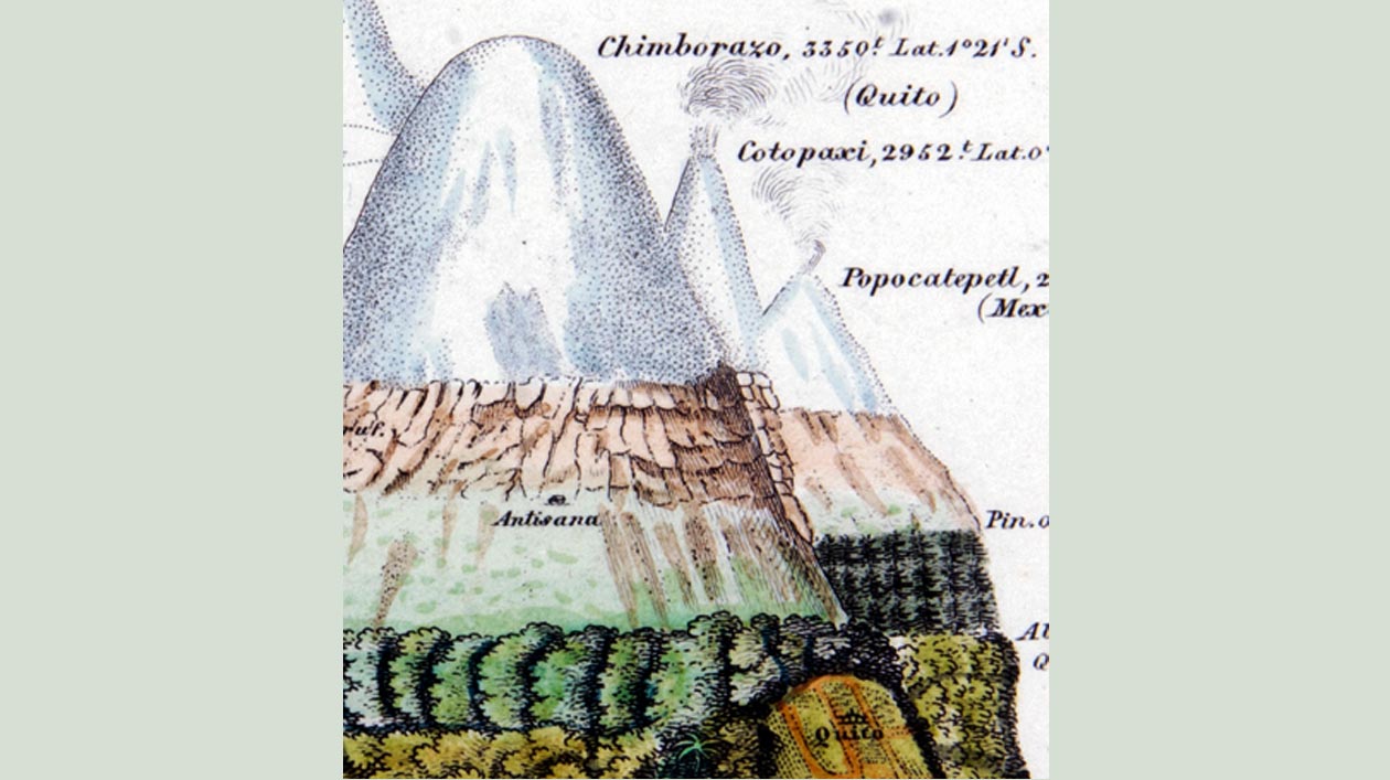 Dünne Pflanzengeographie Grafische Darstellung eines Berges mit Schnee