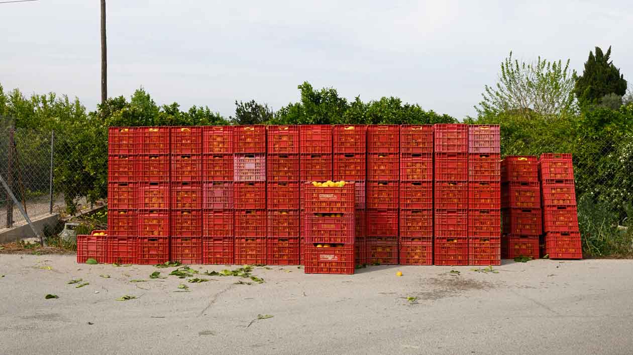 Göran Gnaudschun: „Zitronenernte II“ aus der Serie „Das bessere Leben“, Stadt Murcia/Region Murcia, 2020 Gestapelte rote Obstkisten auf einem Feld