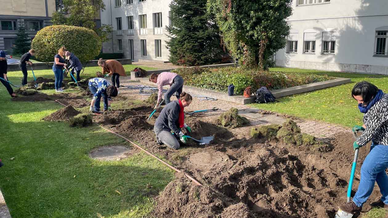 Kolleginnen legen eine Wildblumenwiese in einem Gartenbereich der Stiftung an