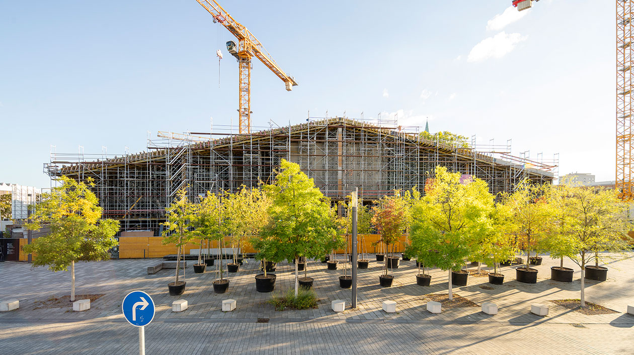 Baustelle eines großen Gebäudes mit Kränen